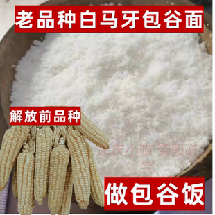 贵州解放前老品种白马牙玉米糁农家现磨包谷面老品种笨玉米可留种