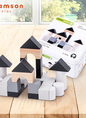 teamson迪生家积木玩具木制小颗粒铁盒收纳儿童益智游戏宝宝礼物