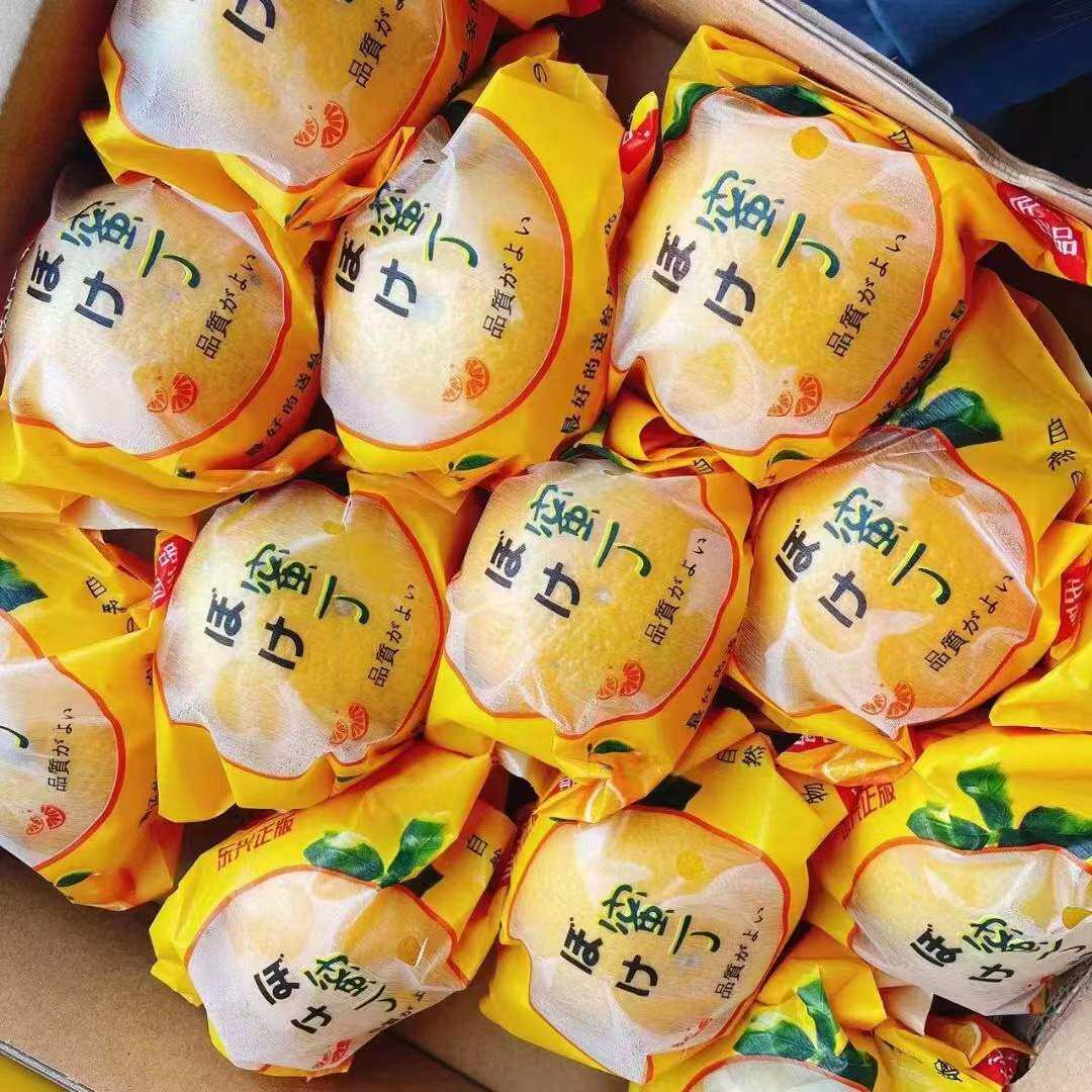湾木瓜蜜丁柚自家果园现采现发甜蜜软糯儿童孕妇水果高档礼盒装