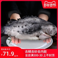 海参斑鱼特大新鲜冰岛进口深海鱼圆鳍鱼海鲜水产石斑鱼冷冻斑鱼