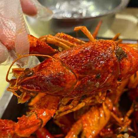 北京通乐饭馆簋街总店麻辣小龙虾蒜蓉清蒸龙虾