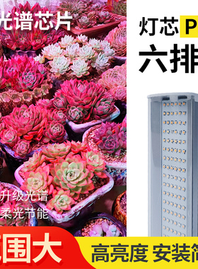 振安 多肉补光灯家用上色仿太阳全光谱LED植物生长灯室内绿植花卉