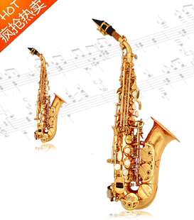 原装 儿童初学考级 包邮 柳泽YANAGISAWA小弯管高音萨克斯S901降B调