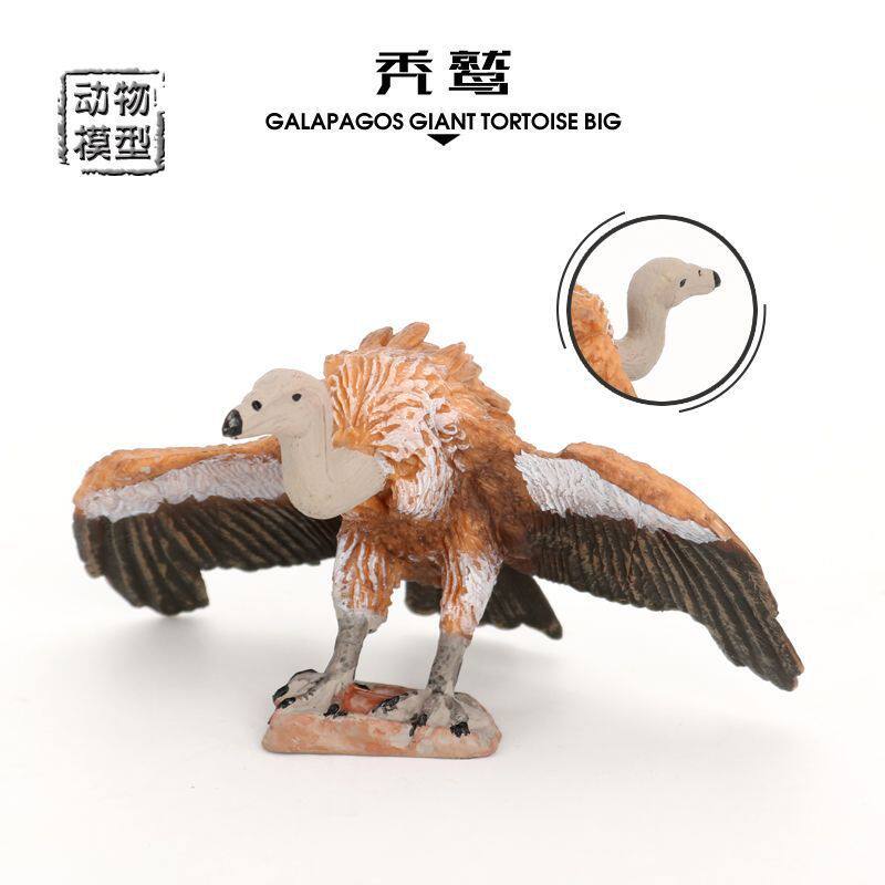 跨境仿真野生动物模型鸟类动物玩具秃鹫座山雕儿童科教认知类玩具