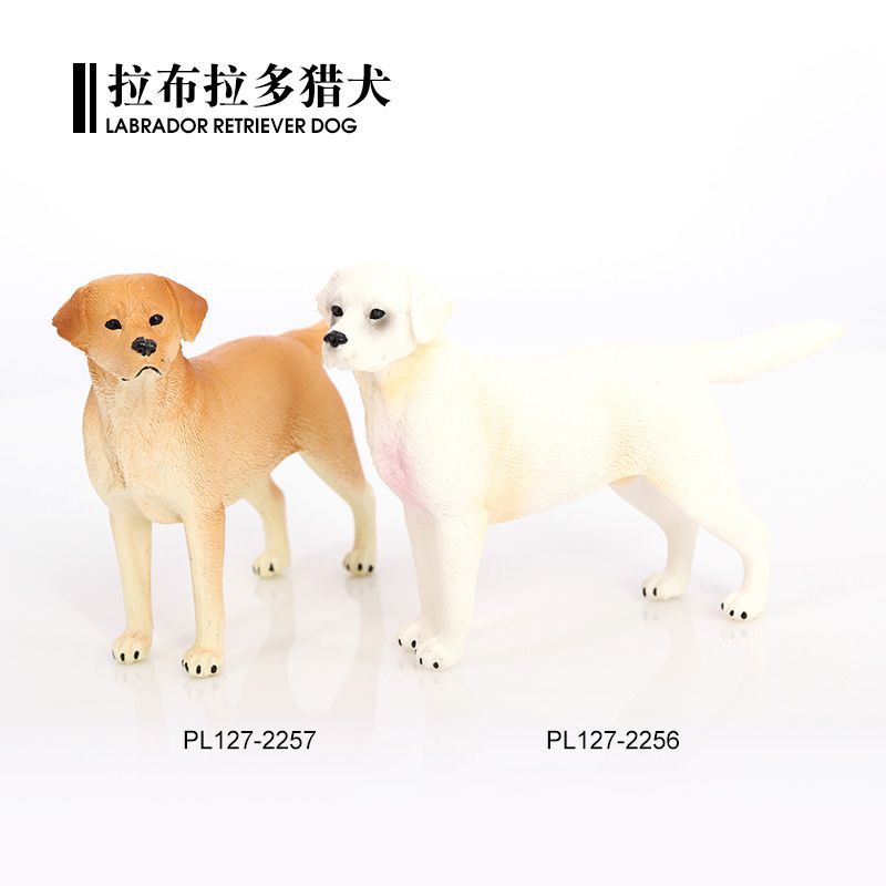 2256-57仿真动物模型黄色白色拉布拉多犬实心狗狗儿童玩具摆件图片