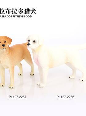 2256-57仿真动物模型黄色白色拉布拉多犬实心狗狗儿童玩具摆件