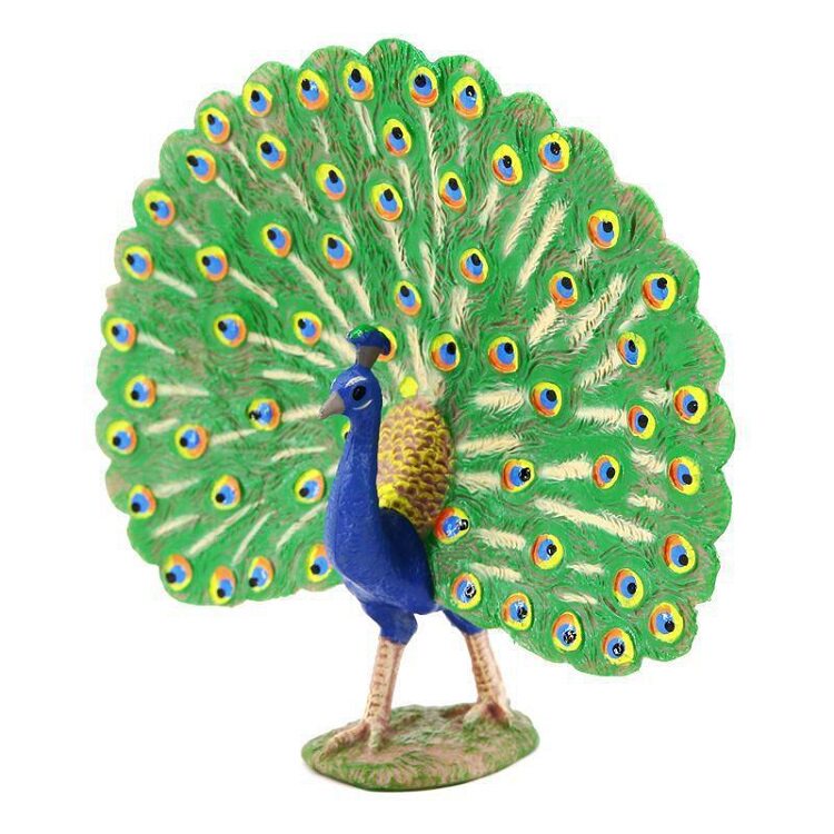 PL127-1434仿真鸟类飞禽孔雀开屏模型实心儿童玩具塑胶动物摆件