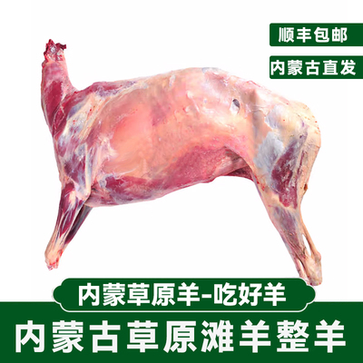 内蒙古新鲜羊肉现杀整只全羊商用羊腿羊排羊蝎子滩羊羔羊顺丰发货