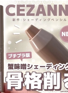 日本倩诗丽修容笔自然立体鼻影