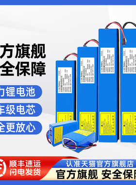 VOA锂能电动车锂电池36V48V滑板车电池24V电动车电瓶滑板车锂电池