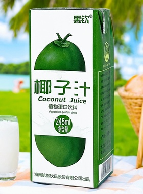海航飞机鲜椰肉榨汁椰子汁240mlx24盒植物奶果蔬汁饮料椰子水聚会