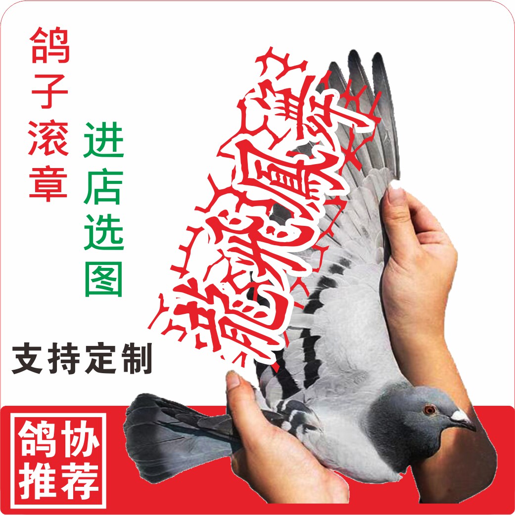 鸽子滚章暗号章信鸽比赛章印章台鸽小圆章长方形章定制记号不褪色
