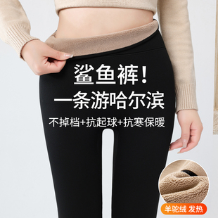 超火保暖打底瑜伽裤 东北旅游鲨鱼裤 女外穿加绒加厚秋冬2025新款