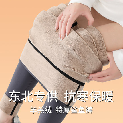 800克加绒鲨鱼裤女外穿冬季加厚极寒防寒裤东北保暖打底瑜伽裤