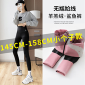 棉裤 加绒鲨鱼裤 2026新款 加厚八分保暖瑜伽裤 女外穿小个子秋冬季