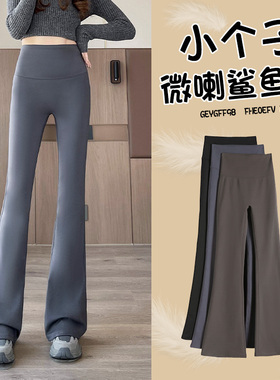 小个子微喇鲨鱼裤女外穿高腰提臀灰色喇叭瑜伽裤2026年新款春季