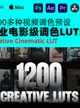 1200+LUTs 灰片还原专业电影级调色Cinematic LUTs Master Bundle
