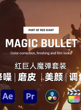 Red Giant Magic Bullet Suite 2026 looks 调色磨皮降噪中文版
