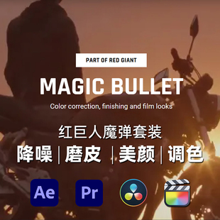 Red Giant Magic Bullet Suite 2026 looks 调色磨皮降噪中文版