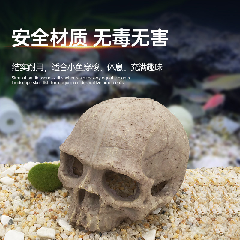 爬宠骷髅头骨缸中水族造景装饰品