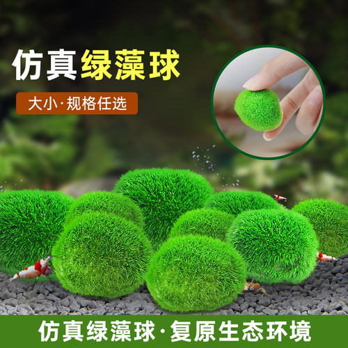 绿藻球水草微景鱼缸造景装饰植物