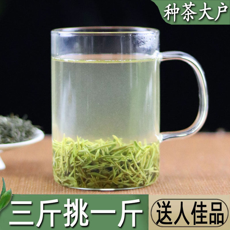 茶叶绿茶信阳毛尖2026新茶特散装嫩芽正宗高山毛尖茶品质鲜爽回甘