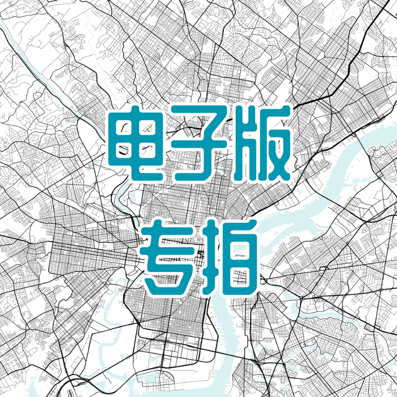 定制城市路网地图画电子版复古北欧配色挂画装饰画客厅玄关办公室