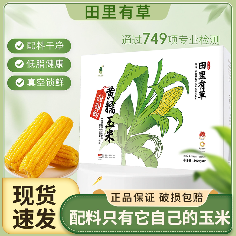 田里有草黄糯玉米新鲜东北甜糯玉米加热即食低脂代餐糯玉米早餐