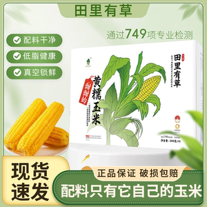 田里有草黄糯玉米新鲜东北甜糯玉米加热即食低脂代餐糯玉米早餐