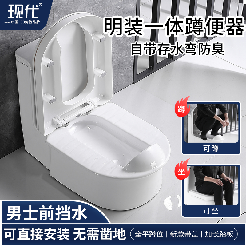 现代【十大品牌】蹲便器免挖坑