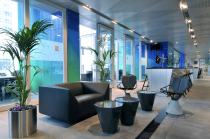 Hong Kong New UNC plastic banknote 10 * 1 Commemorative Banknote collection good physical contact customer service