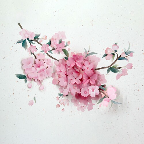 THINKcard樱花立体贺卡