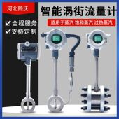 德国品质智能蒸汽涡街流量计压缩空气沼气氧气氮气水油管道式 污水