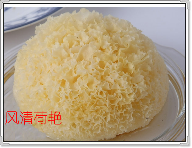 品尝包—出口特级 古田农家自产银耳/冻干银耳及银耳