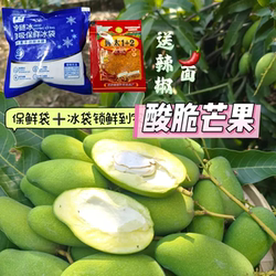 云南临沧芒果芽新鲜水果三年芒 生芒果酸脆青芒果现摘孕妇酸果