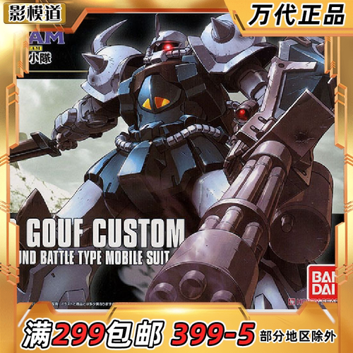 万代HG老虎特装型B3拼装