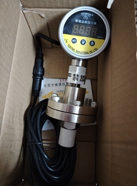 雅德智能通讯压力表YDS1-M19/25-5kg-DC24V-1/2pt-s底座316L