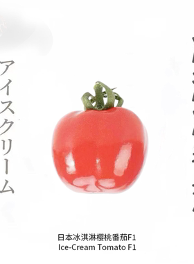 冰淇淋樱桃小番茄种子红黄两色超甜皮薄光泽抗裂春秋室内阳台种菜