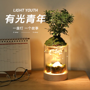 生日礼物女实用小众情绪治愈摆件稀奇古怪桌面盆栽毕业高级创意灯
