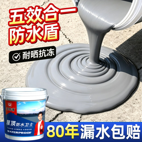 屋顶裂缝防水补漏涂料