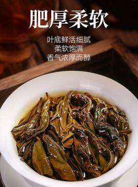 福建肉桂耐泡醇厚浓香型乌龙茶