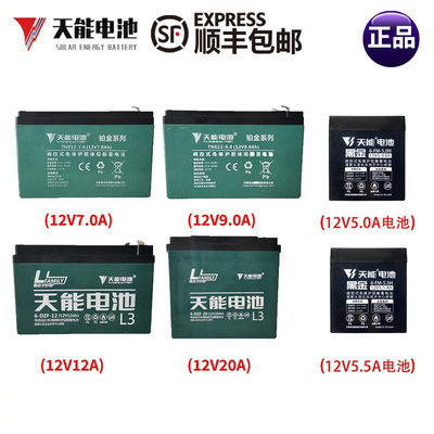 天能电池广场舞移动拉杆音响