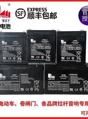 LONGWAY龙威儿童电动车童车汽车拉杆音响音箱6V12V铅酸蓄电池电瓶