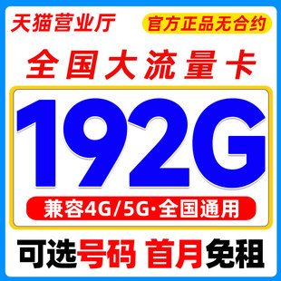 广东大流量卡纯流量上网卡手机卡电话卡无线限流量卡4g5g全国通用