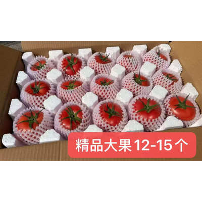 云南露天西红柿【口感喜好不售后】收到立即取出通风放置