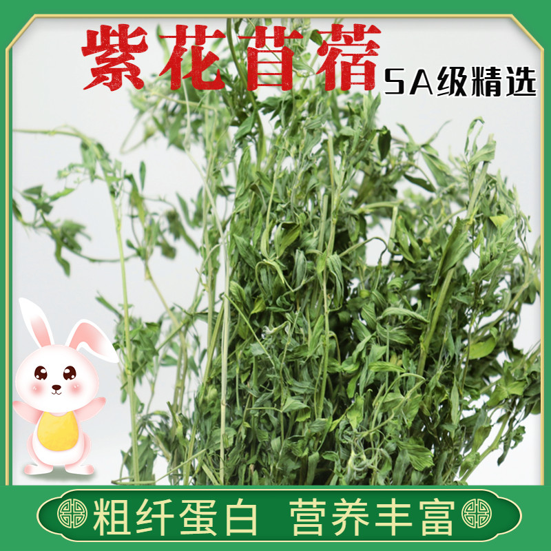 26年紫花苜蓿草干草兔粮荷兰猪幼兔期优质牧草粗纤维营养丰富5A级