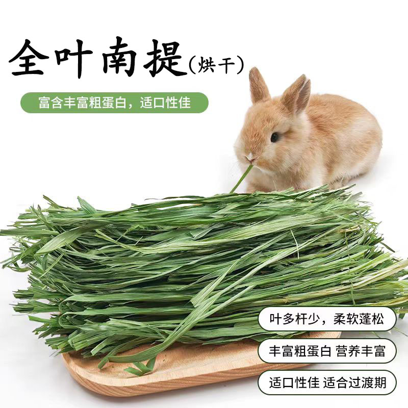 26全叶南梯头茬新烘干提摩西草干草段兔子粮草荷兰猪龙猫豚鼠磨牙