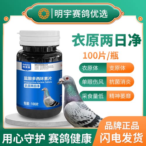 格莱德衣原两日净信鸽子药品大全单眼伤风赛鸽100片鸽药