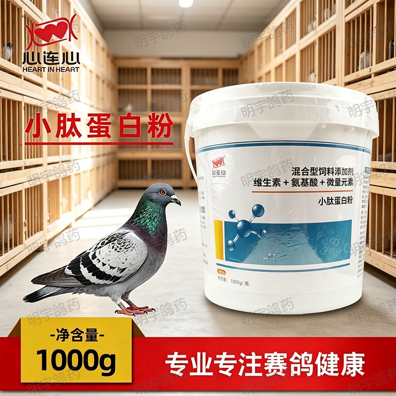 心连心小肽蛋白粉强体能状态鹦鹉鸟用赛鸽信鸽多维氨基酸微量元素