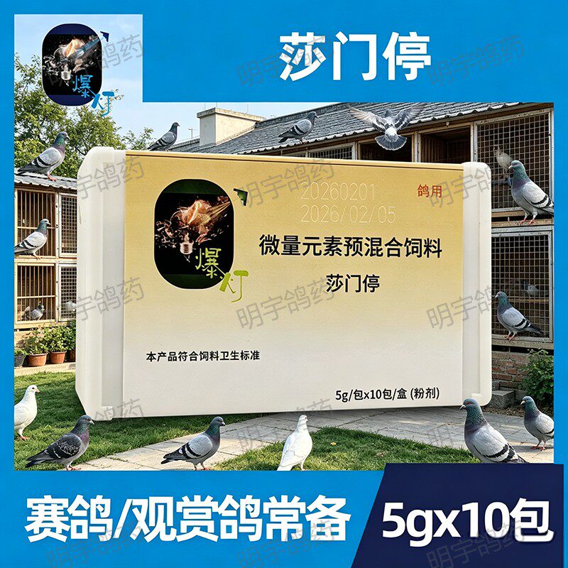 爆灯鸽药莎门停原爆灯沙门伤寒停爆灯肠治久安赛鸽信鸽肠道非鸽药